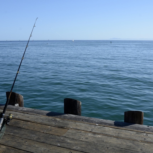 Escolhendo a vara de pesca ideal para uma boa pescaria