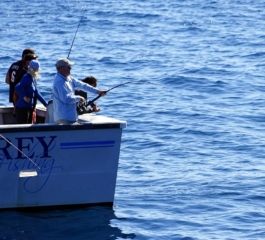 Equipamento De Pesca Em Alto Mar