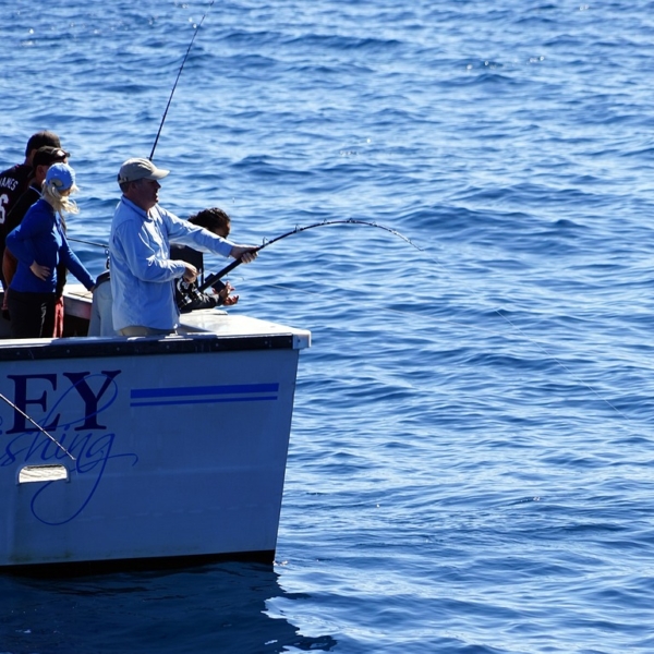 11 tipos de equipamentos essencial para pesca em alto mar