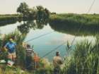 Ler matéria: Guia Completo de Varas de Pesca para Iniciantes: Tudo o que Você Precisa Saber